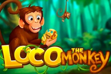 Loco the Monkey